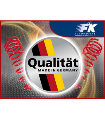 Molle di abbassamento - Molle di abbassamento BMW 5er F11 5K VA abbassamento