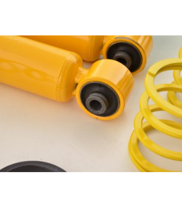 Ricambi coilover - Kit coilover FK ricambi asse