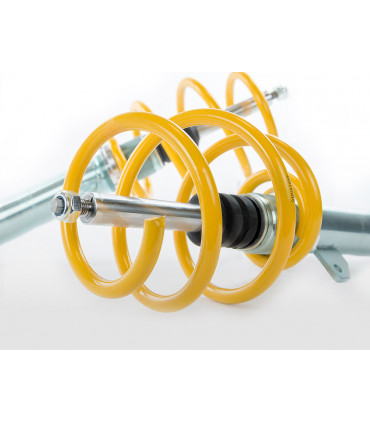 Sospensioni elicoidali - Kit coilover Sospensioni sportive FK Mini 3 F57