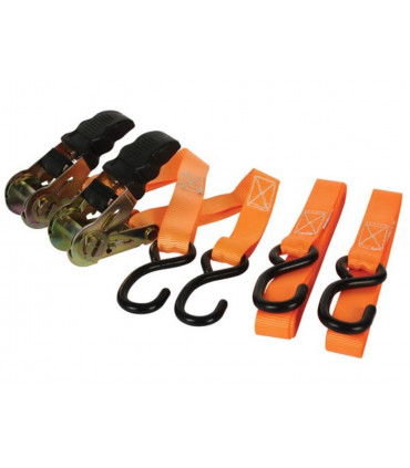 Auto - CINGHIA DI FISSAGGIO CON TENDITORE A CRICCHETTO 500 kg - 25 mm x 5 m - 2 pz…