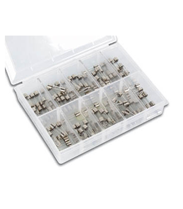 Kit componenti - SET FUSIBILI - LENTO - 100 pz - 5 x 20 mm…