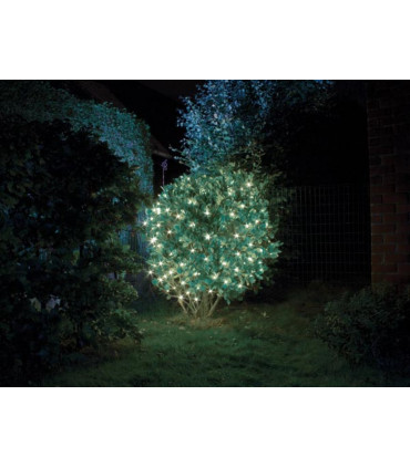 Filets lumineux - Smart Netlight LED - 1 2 x 1 2 m - 60 lampes blanches - fil