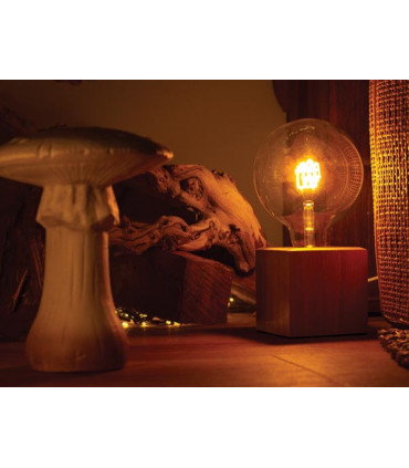 Decoration - Deco bulb - ampoule LED - filament dore en forme de cadeau - E27…