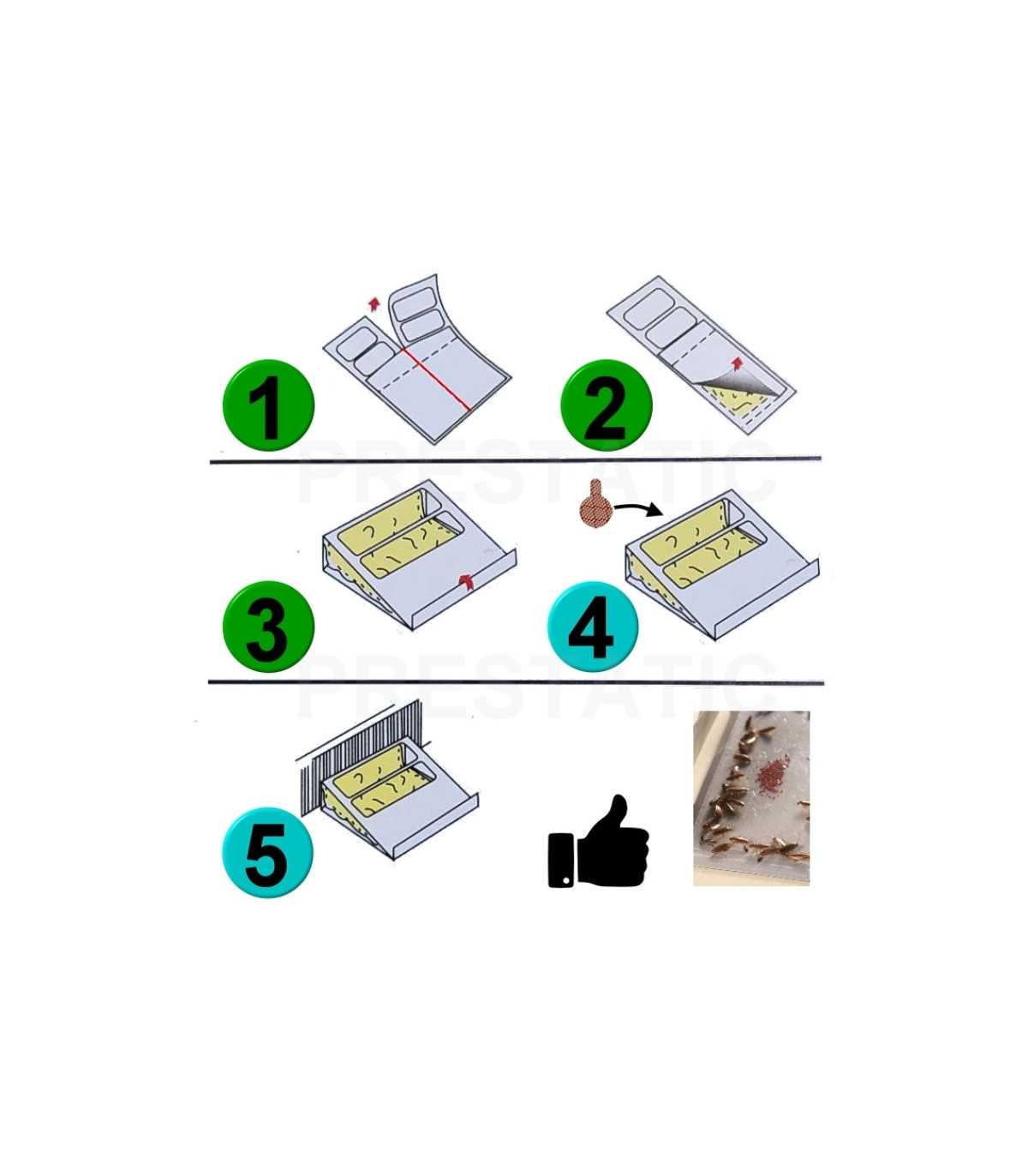 Anti Cockroach Product Sticky Cockroach Traps | Powerful Anti Cockroaches - 24 PCS
