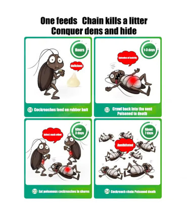 Appât puissant pour les cafards contre les moustiques, les mouches, les fourmis, les insectes -