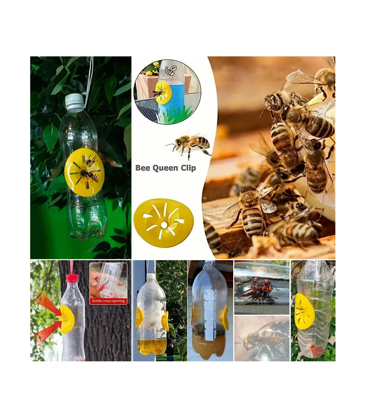 Piège à guêpes réutilisable pour apiculture, 5 à 100 pièces, attrape-abeilles en forme de fleur