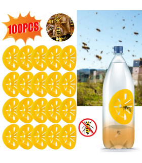 Piège à guêpes réutilisable pour apiculture, 5 à 100 pièces, attrape-abeilles en forme de fleur