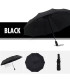 [Black] Parapluie à double couche entièrement automatique, coupe-vent