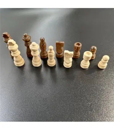 [1 set] Pièces explorez ecs avancées en bois massif, jeu de divertissement de table, puzzle de 