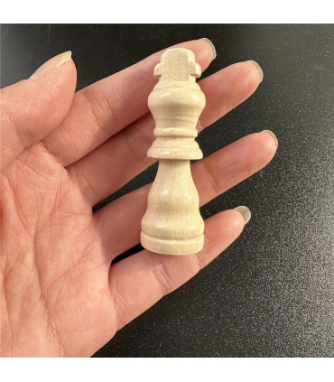 [1 set] Pièces explorez ecs avancées en bois massif, jeu de divertissement de table, puzzle de 