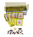 [100 PCS] 100 pièces cafards tueur appâts cafards tuer poudre répulsif piège Anti nuisibles fou