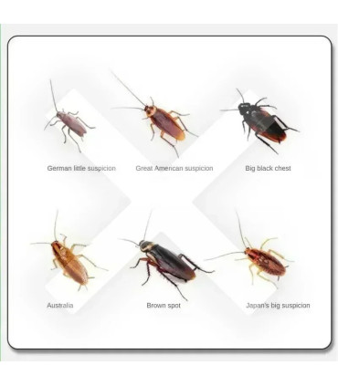 [22 PCS JP] Appât pour tuer les cafards, seringue, médecine pour tuer les cafards, piège anti-m