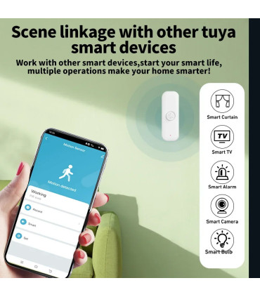 [WiFi Version Wi-Fi] Tuya-Capteur de mouvement PIR pour la maison intelligente, capteur de camb