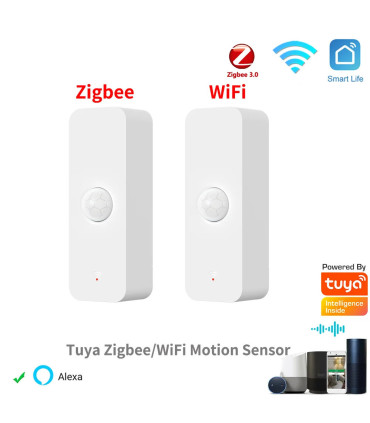 [Zigbee Ver 1PACK] Tuya WiFi Zigbee PIR capteur de mouvement maison intelligente corps humain d