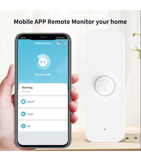[Zigbee Ver 1PCS] Tuya WiFi Zigbee PIR capteur de mouvement maison intelligente corps humain dé