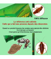 TEMP_EBAY insecticide, X10 sachet poudre anti cafards, blattes super efficace