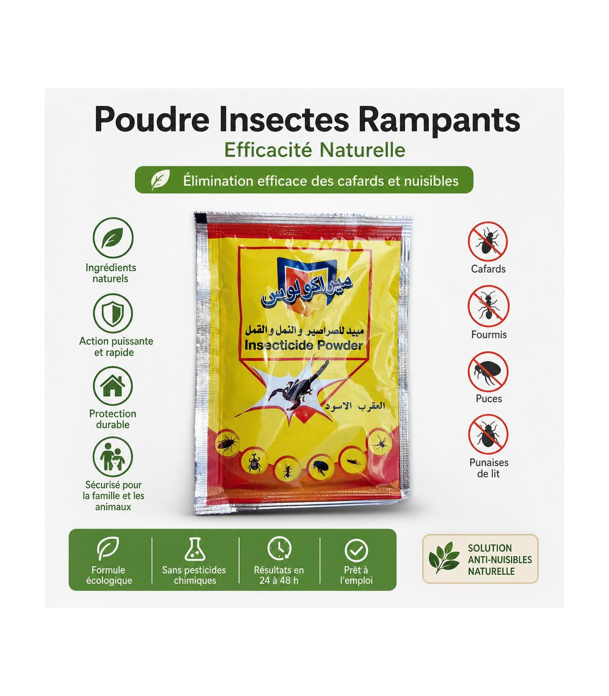Poudre Insectes Rampants - Efficacité Naturelle - AI image 1