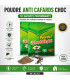 Poudre Anti Cafards Choc - 10 sachets performants - AI image 1