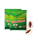 poudre, insecticide, sachets, lutte anti-cafards, solution efficace, traitement puissant