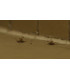 cafards morts, insectes, infestation, sol, traitement anti-nuisibles, lutte