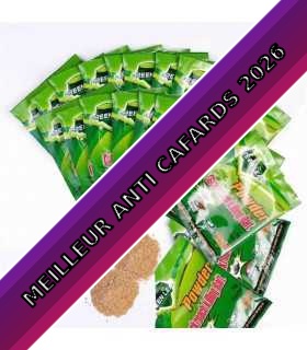 Appât Anti Blattes Cuisine, sachets, vert, désinsectisation, anti cafards, élimination nuisibles