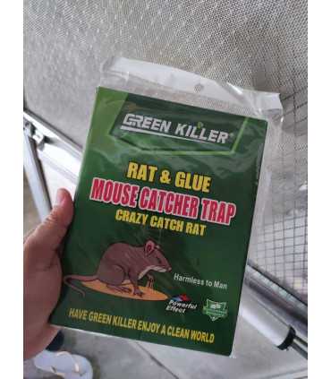 Anti Kakerlake Klebepflaster, 4 Stück Rattenfalle, Maus