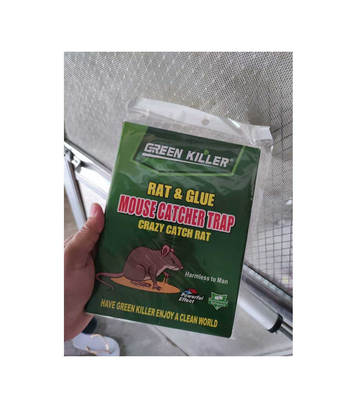 Anti Scarafaggio Patch Appiccicoso, 4 pz Trappola per Ratti, Topo