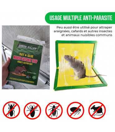 Anti Scarafaggio Patch Appiccicoso, 4 pz Trappola per Ratti, Topo