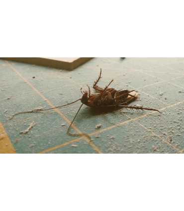 18 pcs Anti Cockroach Sachets Powerful Non-Toxic