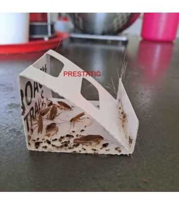 12 piezas de trampas para cucarachas | Potente repelente de cucarachas no tóxico | Trampa para cucarachas