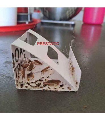 Anti cafard - 12 PCS Pièges a Cafard | Anti Cafards Puissant Non Toxique |