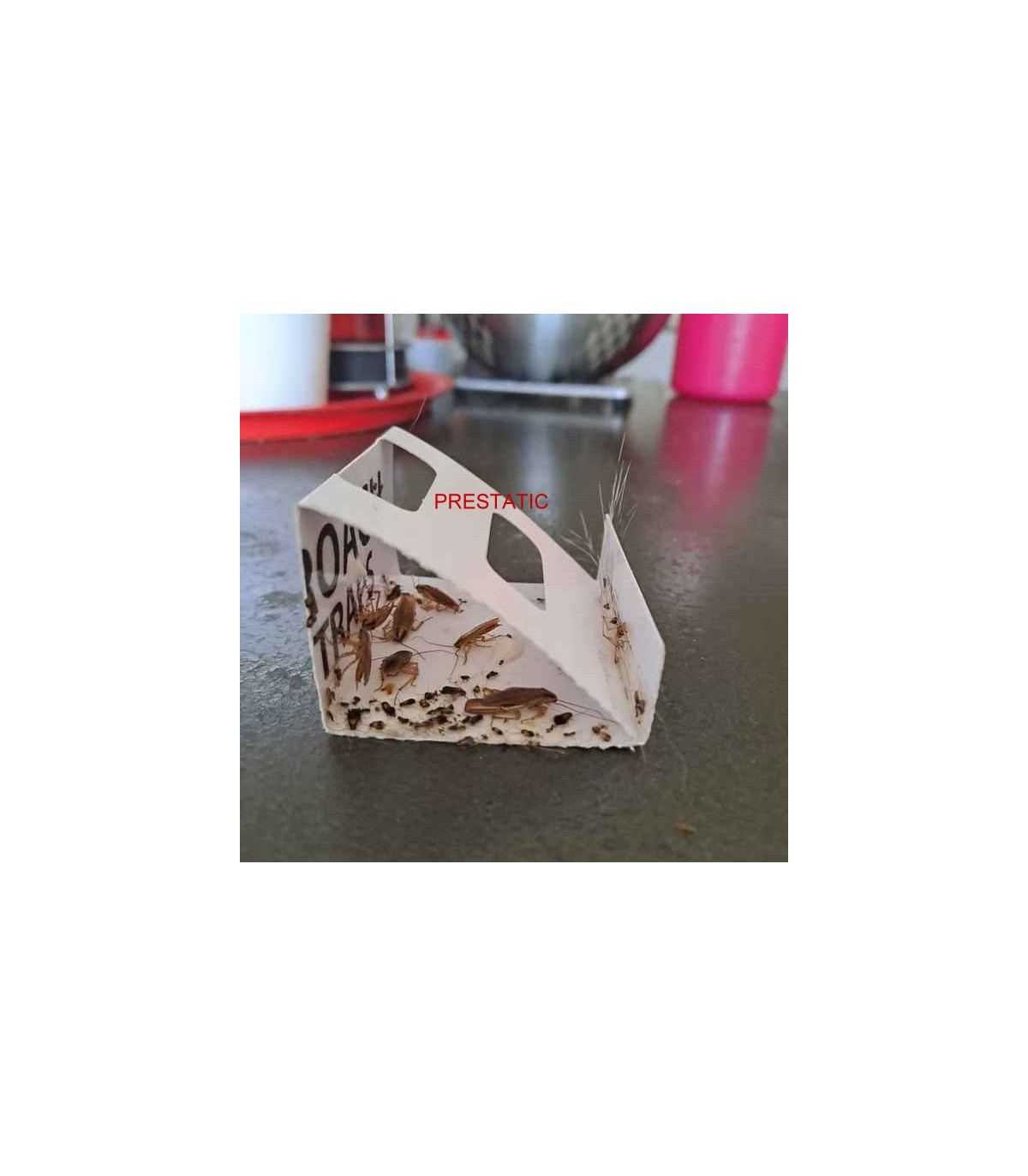 12 piezas de trampas para cucarachas | Potente repelente de cucarachas no tóxico | Trampa para cucarachas