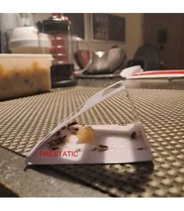 Anti cafard - 12 PCS Pièges a Cafard | Anti Cafards Puissant Non Toxique |