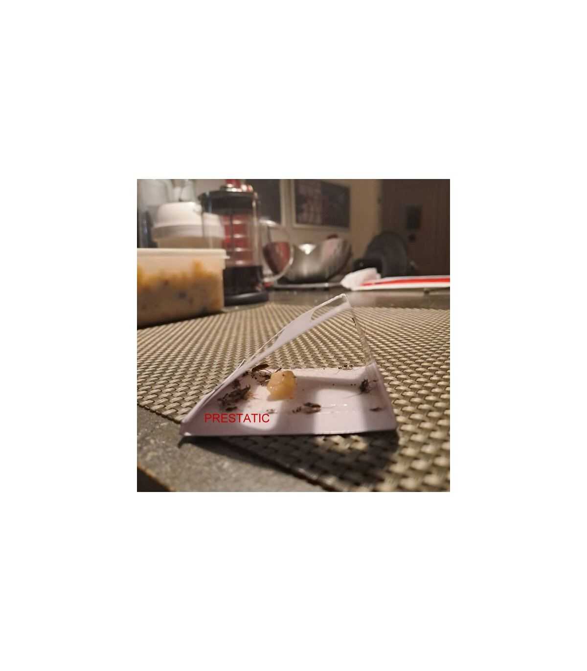 12 piezas de trampas para cucarachas | Potente repelente de cucarachas no tóxico | Trampa para cucarachas