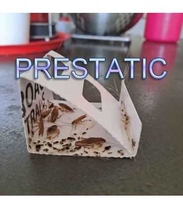 6 PCS Sticky Cockroach Traps | Powerful anti cockroaches