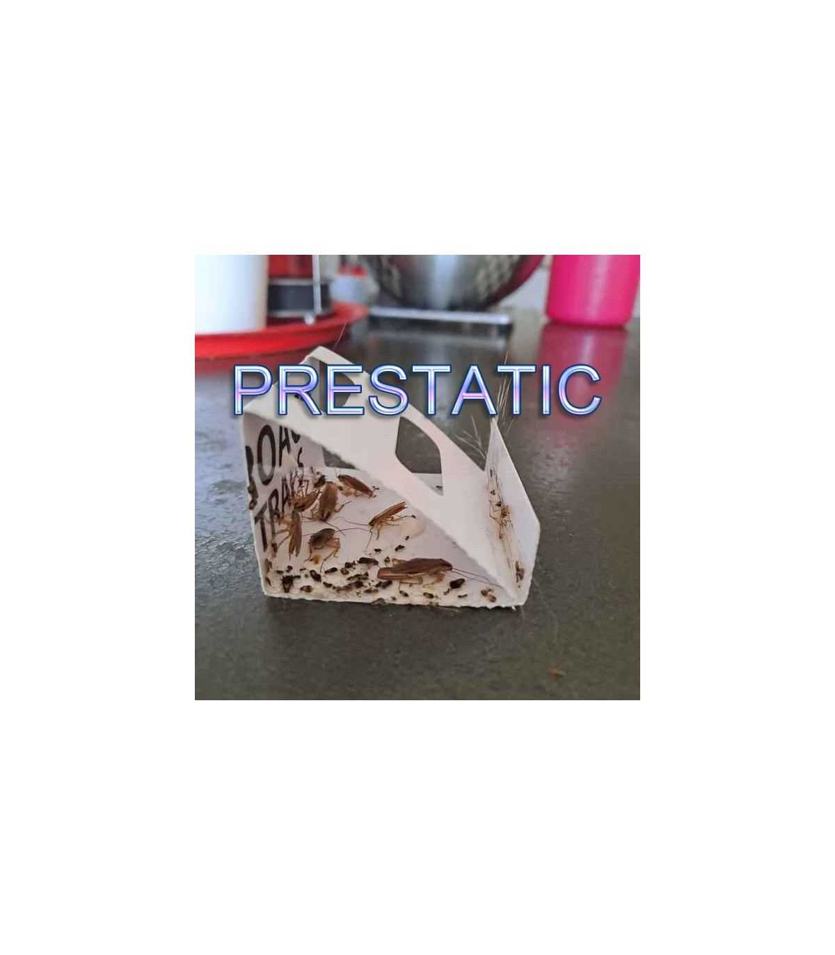 6 PCS Sticky Cockroach Traps | Powerful anti cockroaches