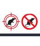 Pièges, poison et colle rats et souris